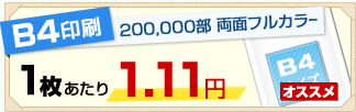 B4印刷 20万枚 両面フルカラー